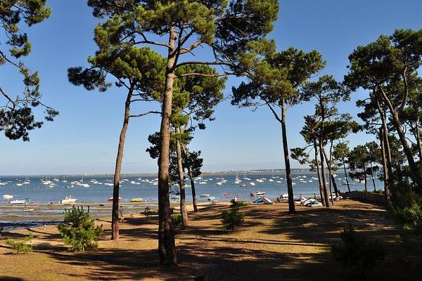 rencontres sauvages porte dorée