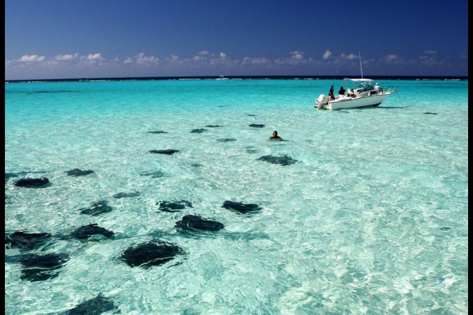 Stingray city en las Islas Caimán