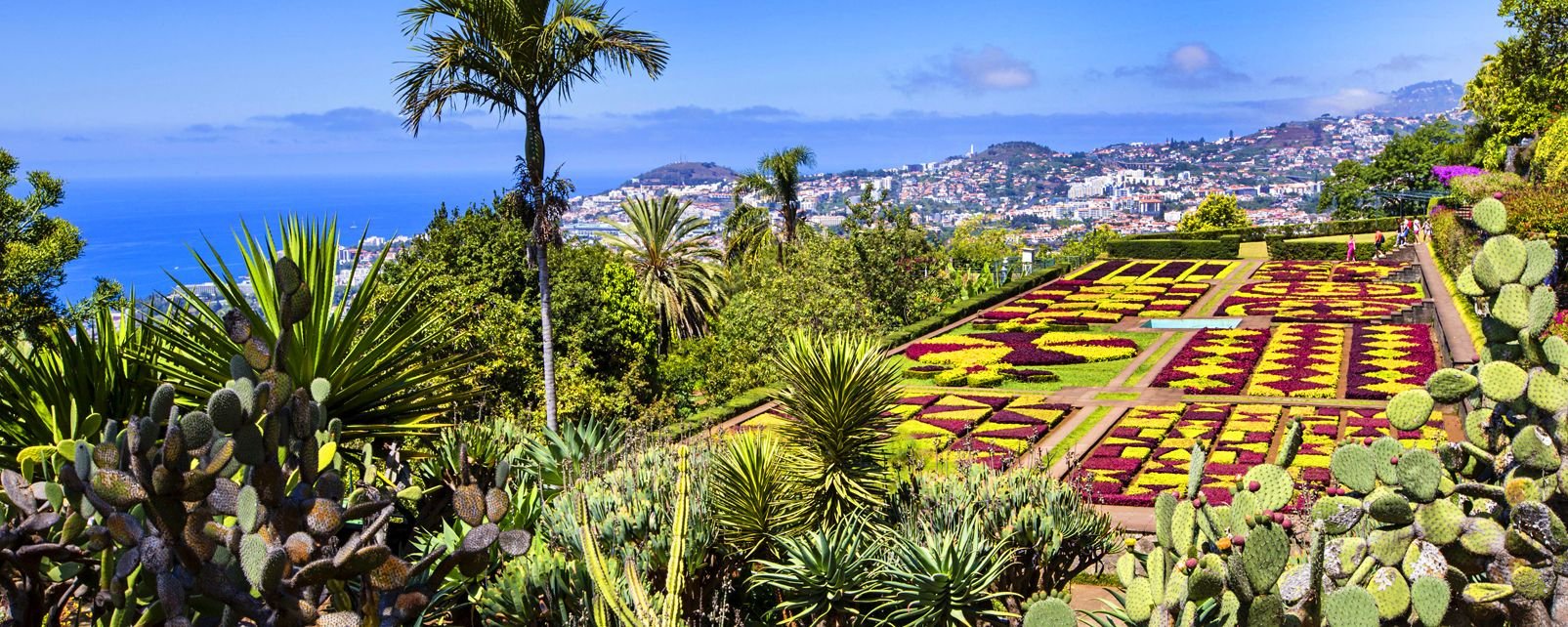 Der botanische Garten von Funchal - Madeira - Portugal