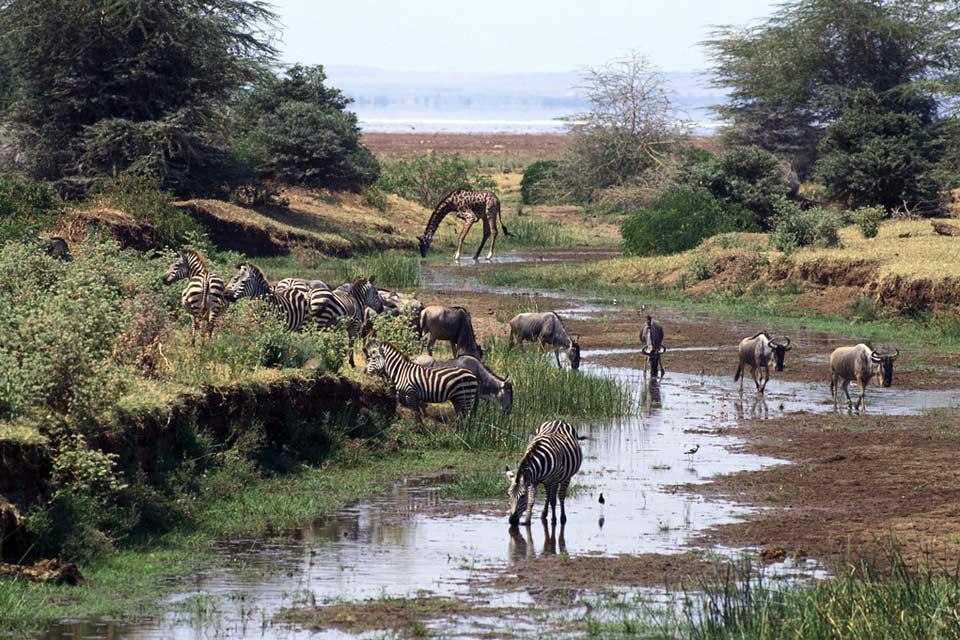 Hookers in Mikumi, Morogoro