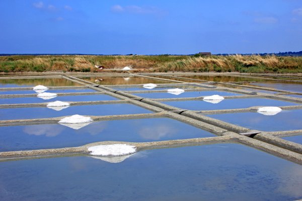 lieux de rencontres pays de loire