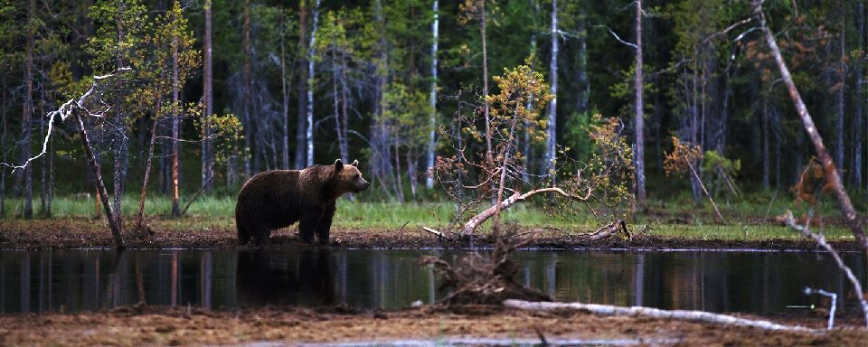 ours rencontre