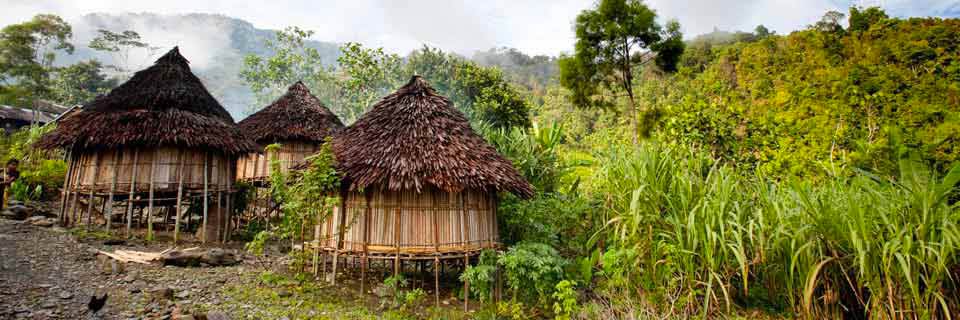 le benin paysage - Image