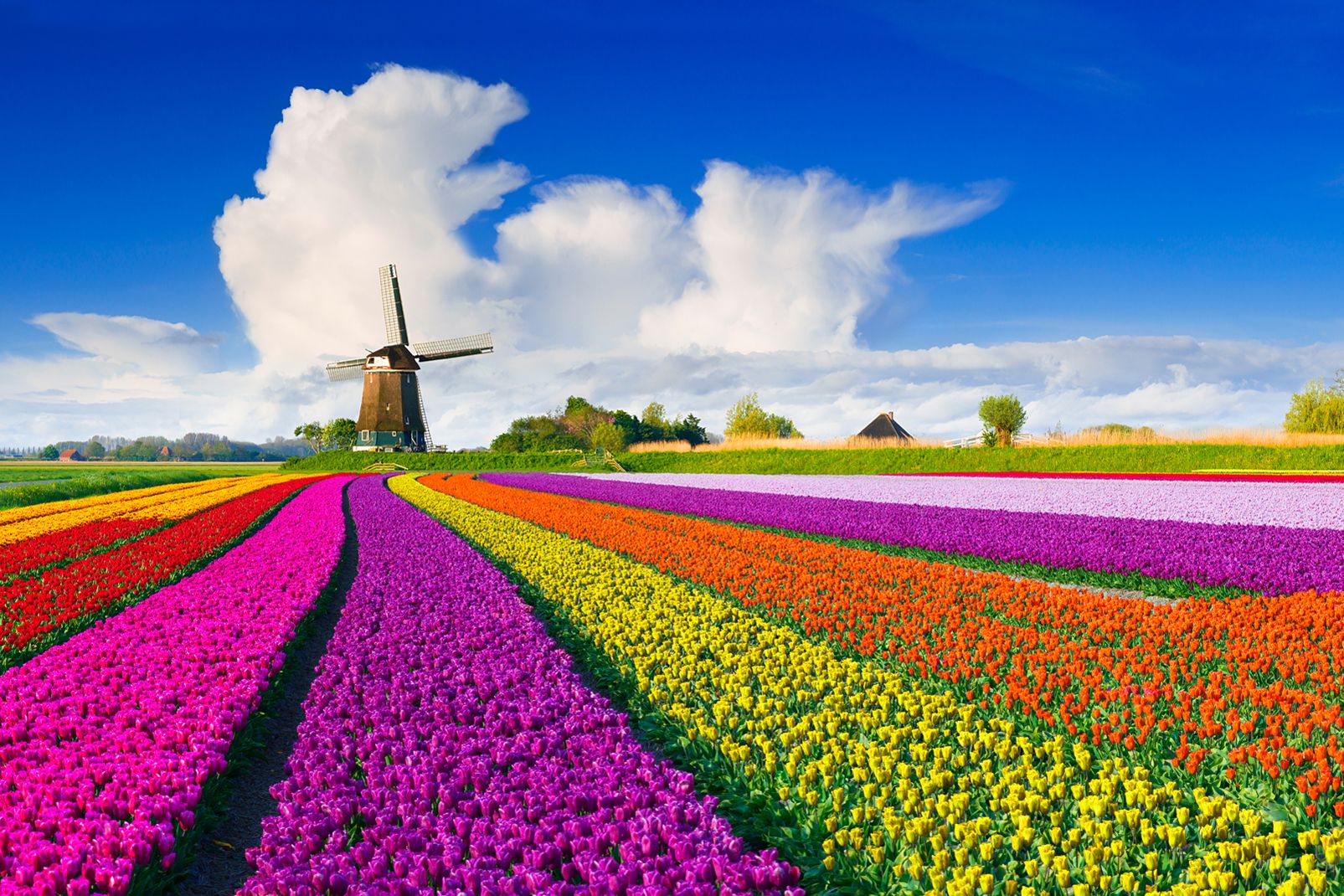 Países Bajos, la guía de viaje al detalle - Easyviajar