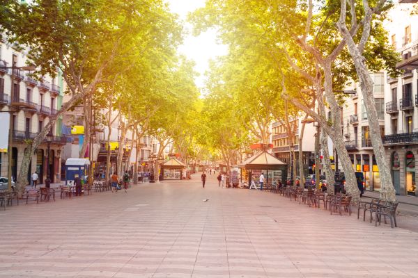 A Walk Down the Most Beautiful Boulevard in the World: Avenue des