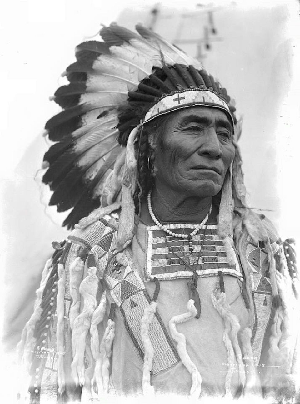 Трофей индейца 6. Племя Кроу индейцы. Индейцы Кроу апсарока. Апачи индейцы. Воин Кроу индейцы.