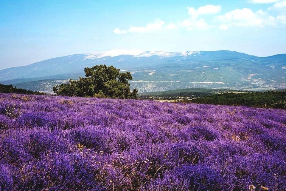 Tour de Francia : los paisajes que no te debes perder - Easyviajar