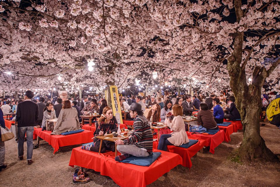 L'evento più atteso in Giappone i Sakura in fiore Easyviaggio