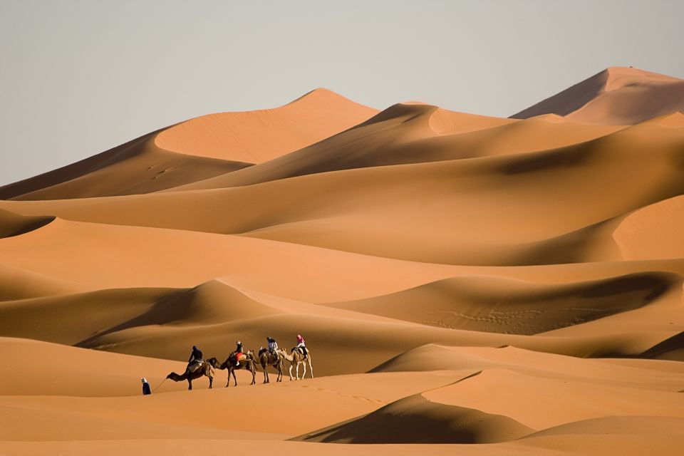 L Amour Du Desert Easyvoyage