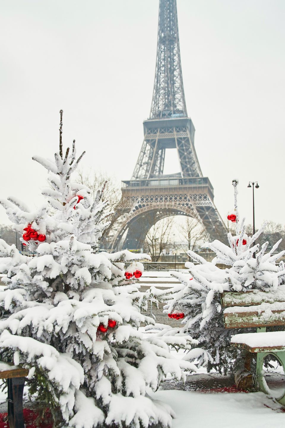 Risultati immagini per natale parigi