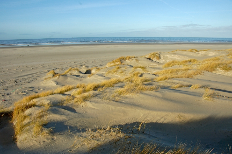 7-reasons-why-the-wadden-islands-are-the-perfect-nature-holiday