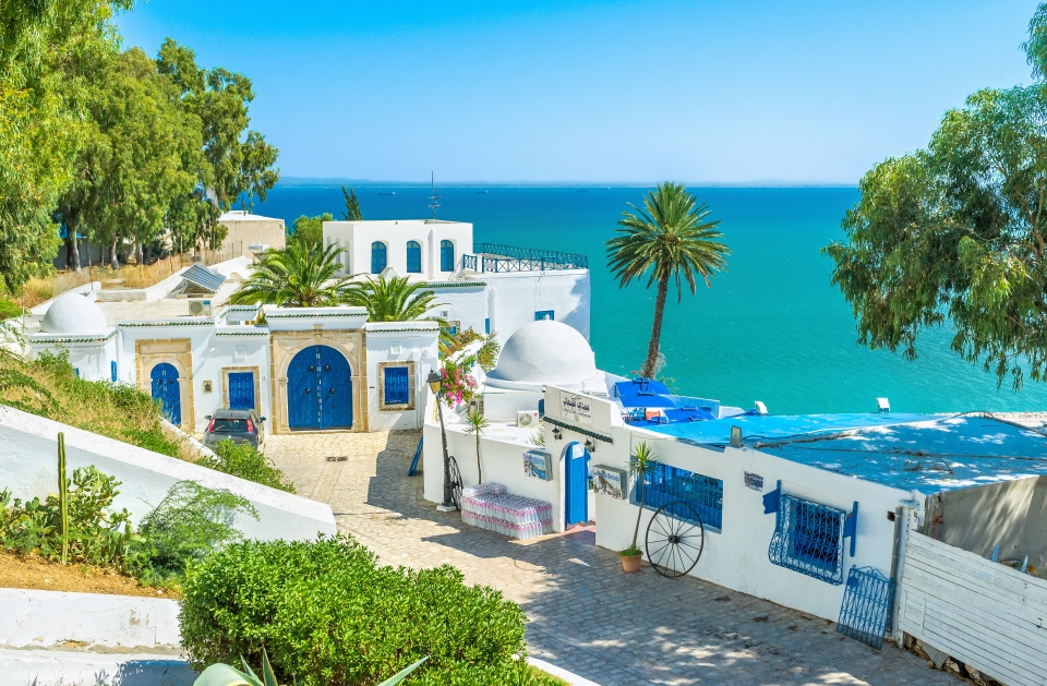 Sidi Bou Sa d la perle bleue  et blanche  de la Tunisie  