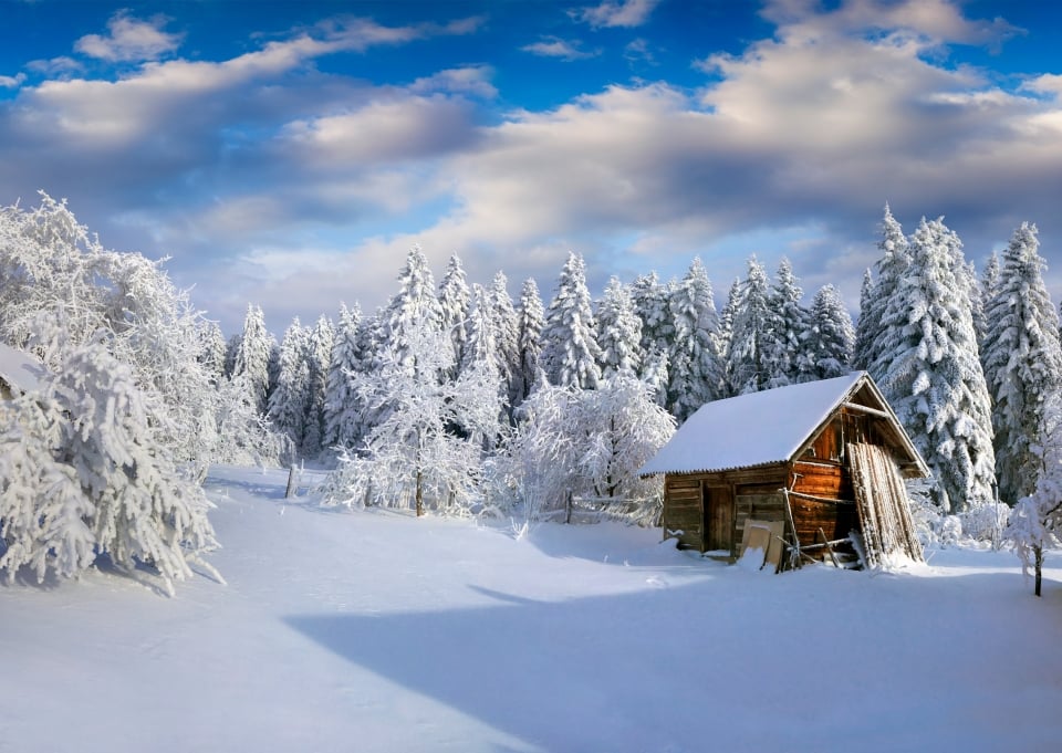 winter nature scenery