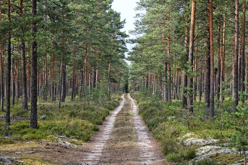 Il Parco nazionale di Lahemaa , Estonia