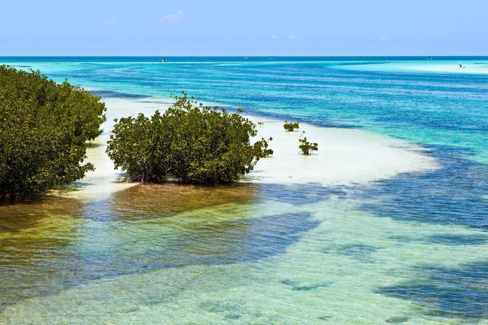 The Florida Keys , The Florida Keys, USA , United States of America