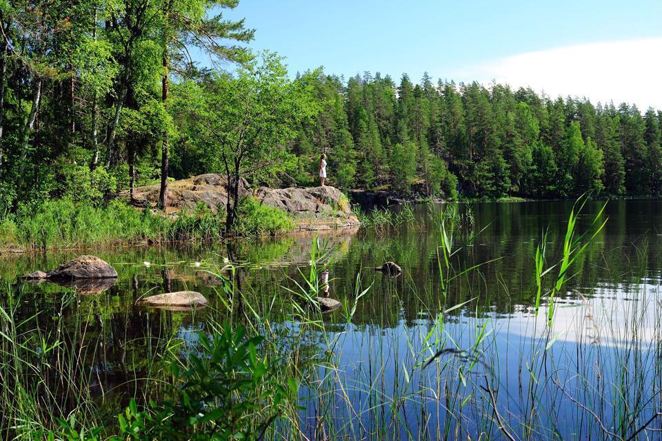 Le plateau lacustre , Finlande