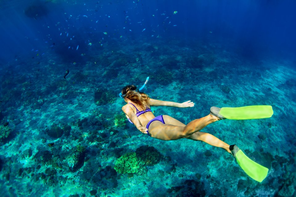 Young woman diving underwater, Les rivages Cayman Brac, Les côtes, Iles Cayman