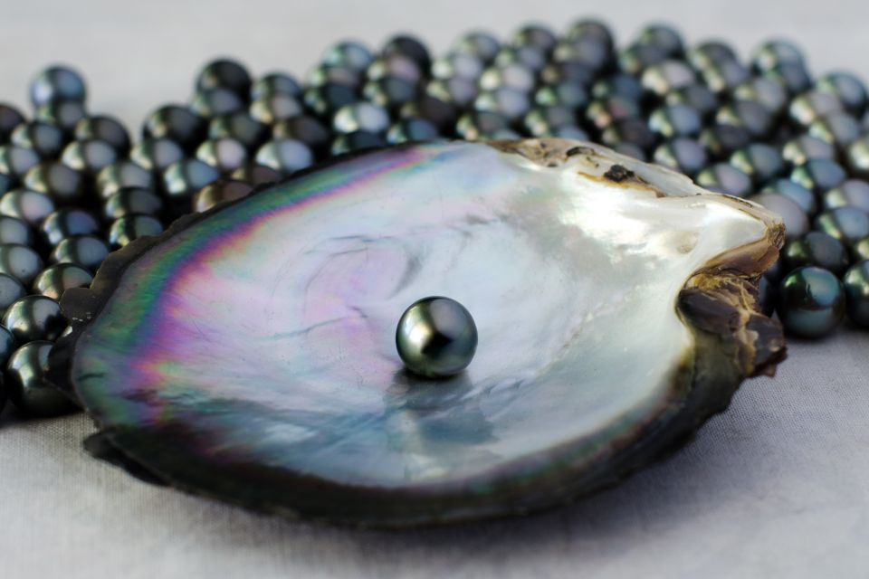 478887326, Les perles noires de Manihiki, Les côtes, Iles Cook