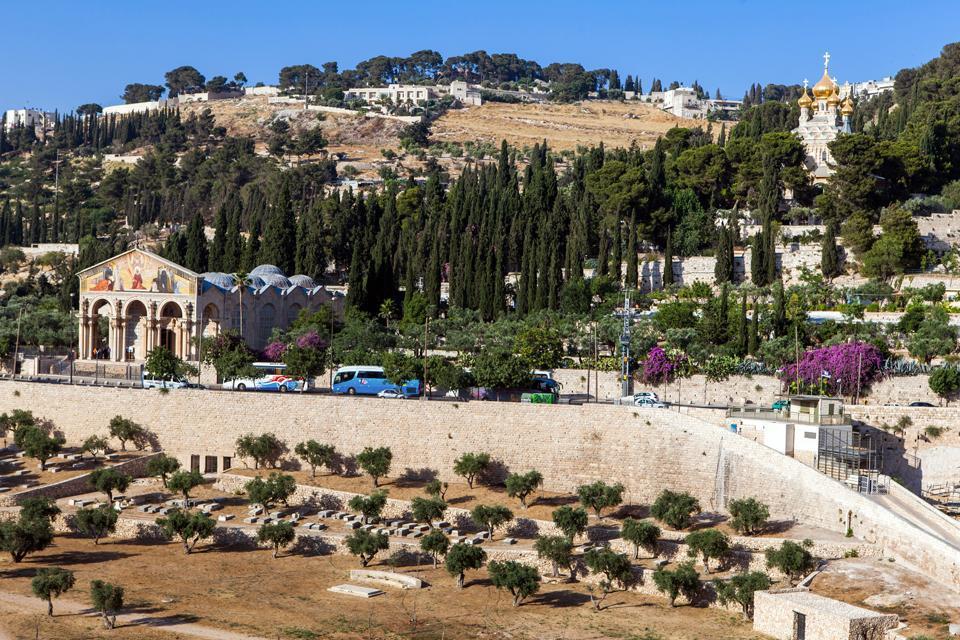 El monte de los Olivos , Israel
