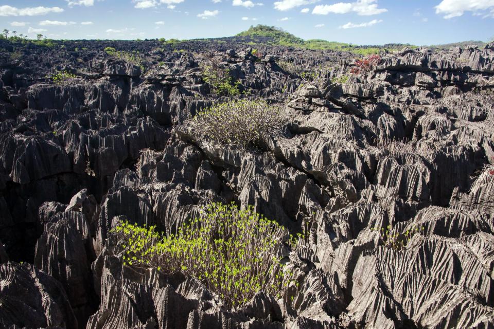 Die Tsingy von Bemaraha , Madagaskar
