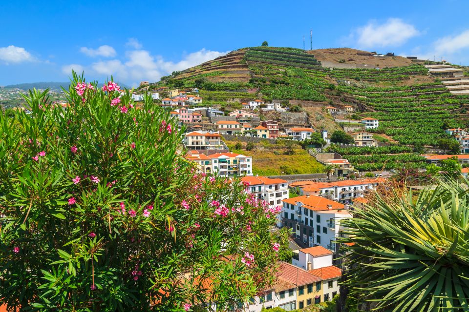Tierra de bienvenida, Camara de Lobos, Las costas, Madeira