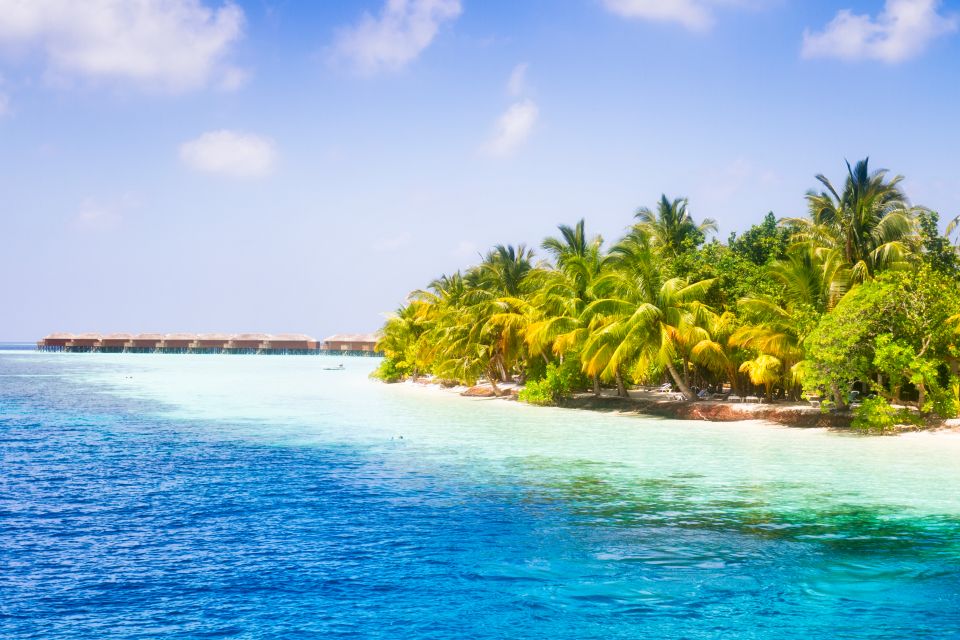 Ari Atoll - Vilamendhoo Island - The Maldives - Maldive Islands