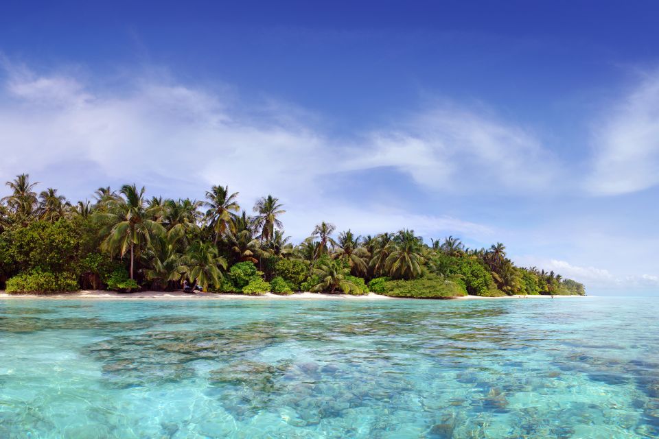 Les paysages, Vilamendhoo, ari, atoll, île, maldives, océan indiens, asie, océan