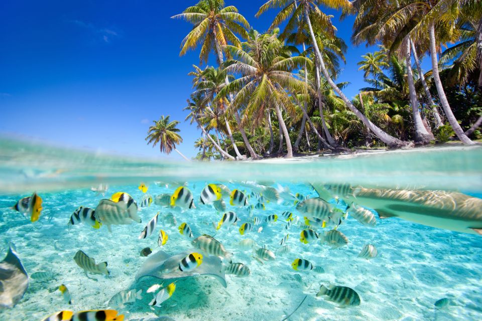 Les côtes, Maldives, océan indien, asie, nilandhoo, île, atoll