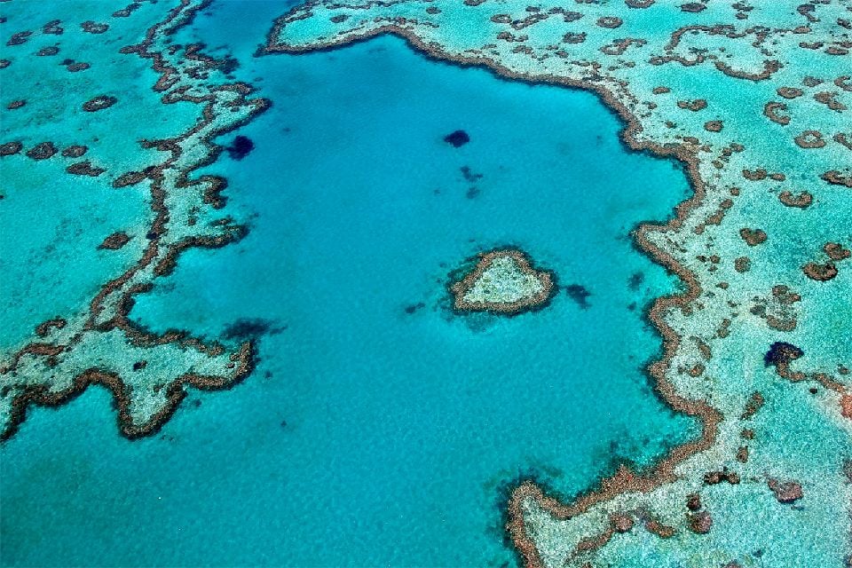 La gran barrera de coral , Australia