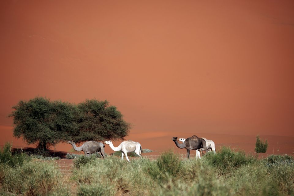 Les paysages, Afrique Mali désert sahara