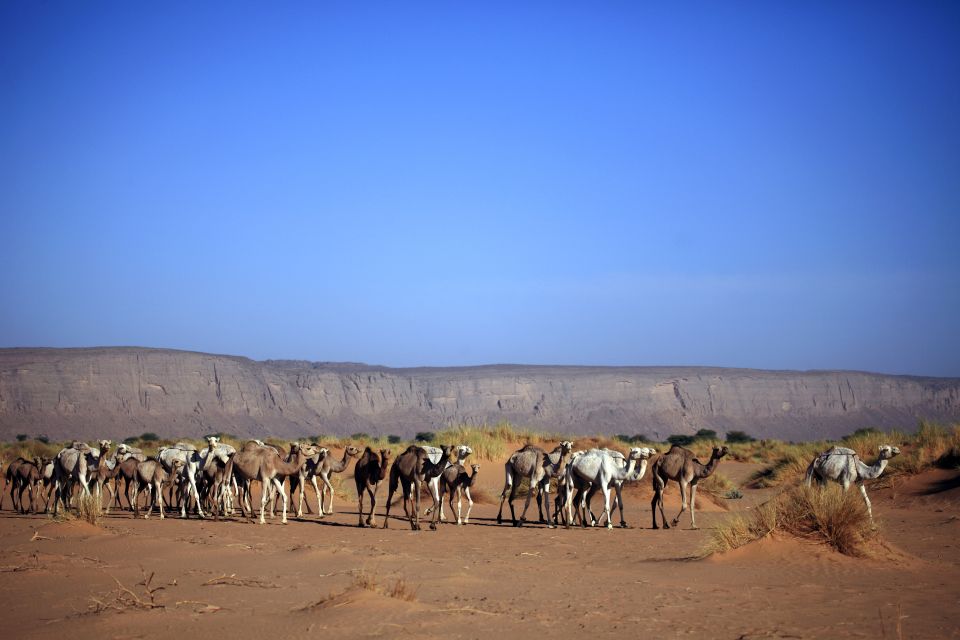Les paysages, Mali Desert Afrique sahara