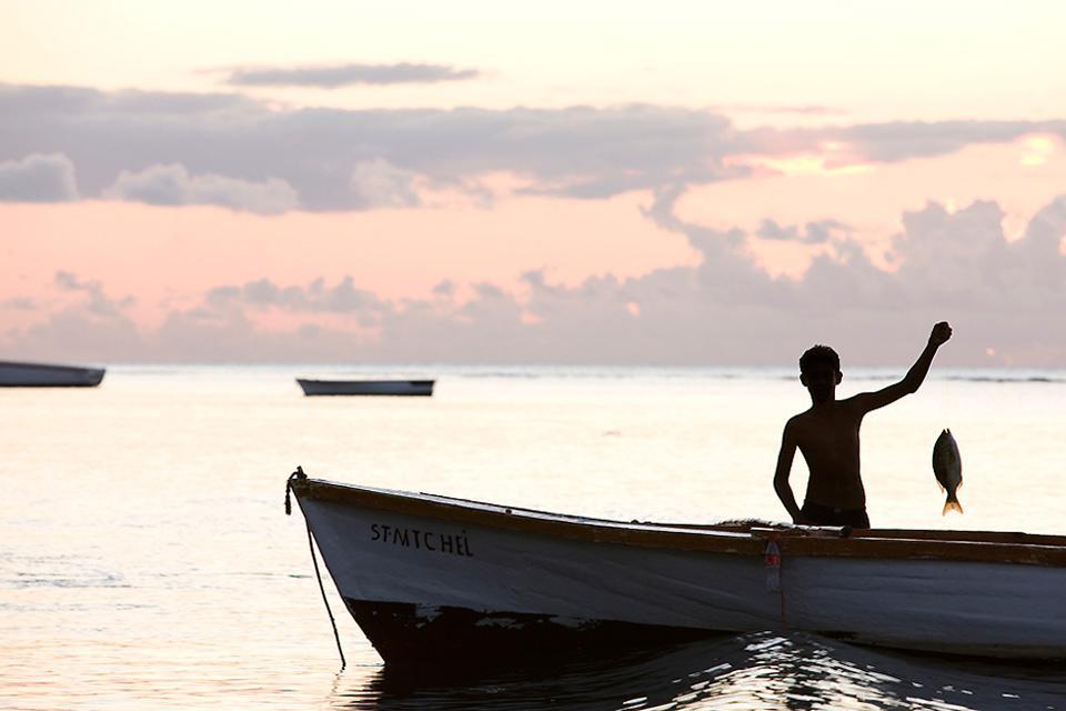 Rodrigues , Los productos del mar , Isla Mauricio