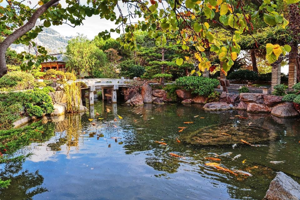 Il giardino giapponese , Montecarlo