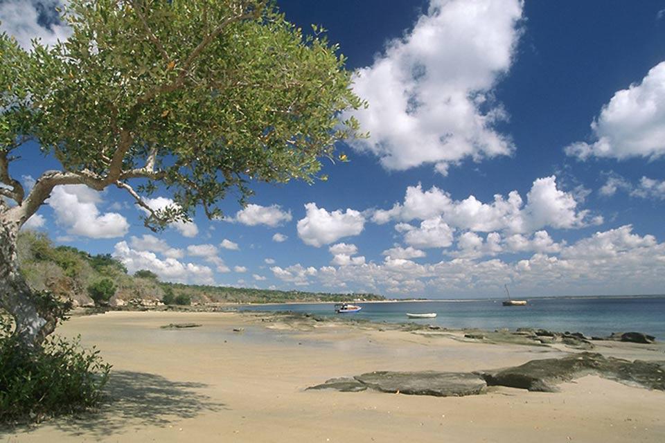 La costa , La costa del Mozambico , Mozambico