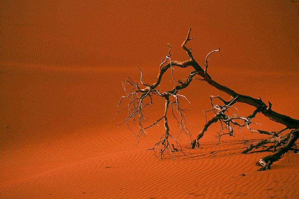 El desierto de Kalahari , Namibia