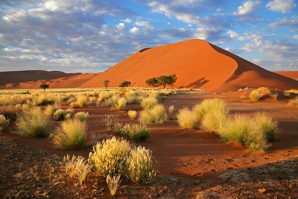 El desierto del Namib , Namibia