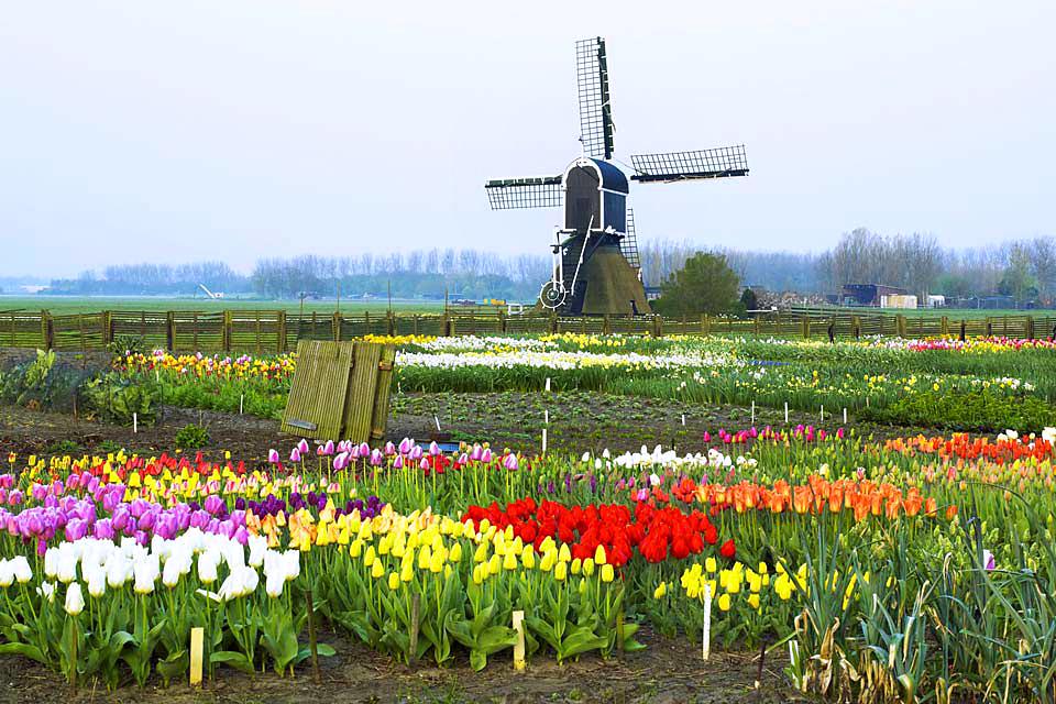 Los paisajes hortícolas , Países Bajos
