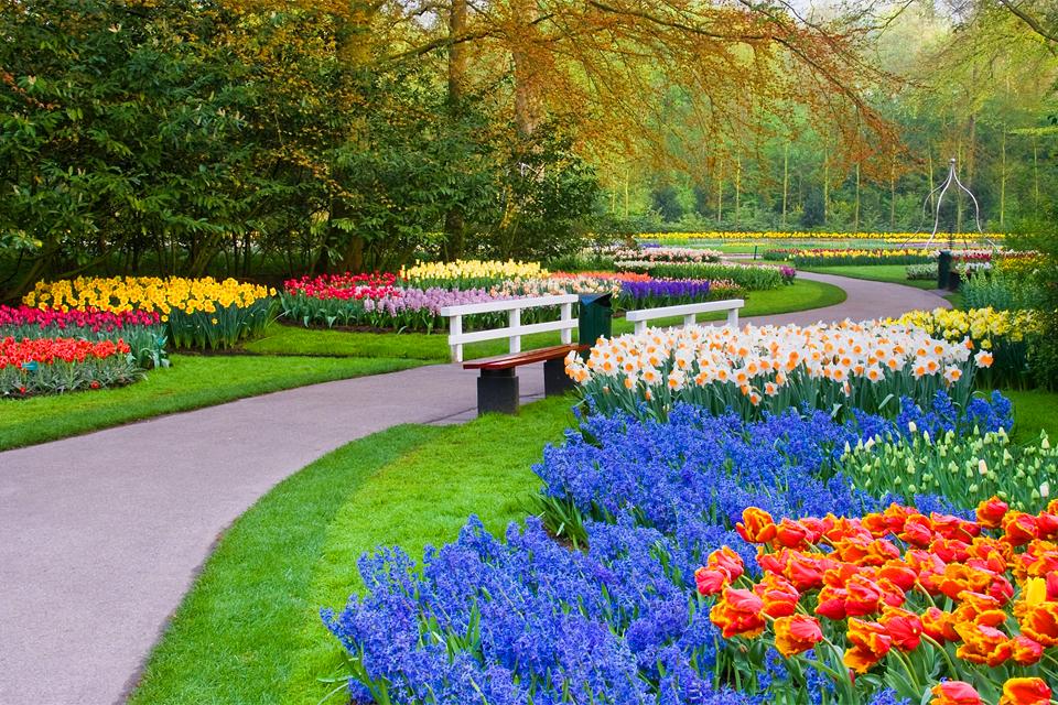 Los jardines botánicos , Países Bajos