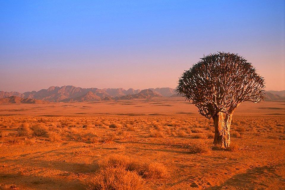 The Northern Cape - South Africa