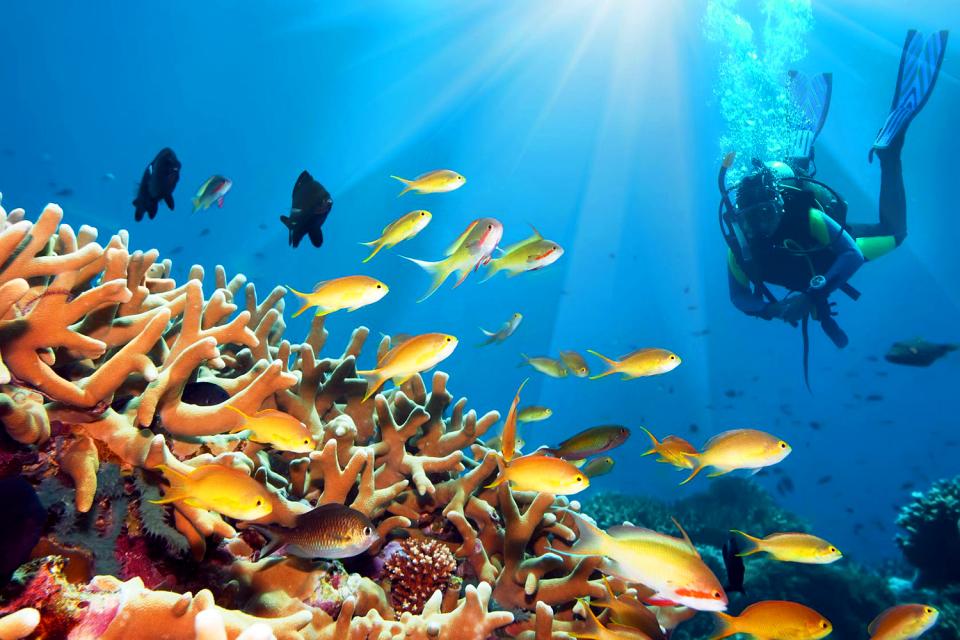 El submarinismo , Polinesia