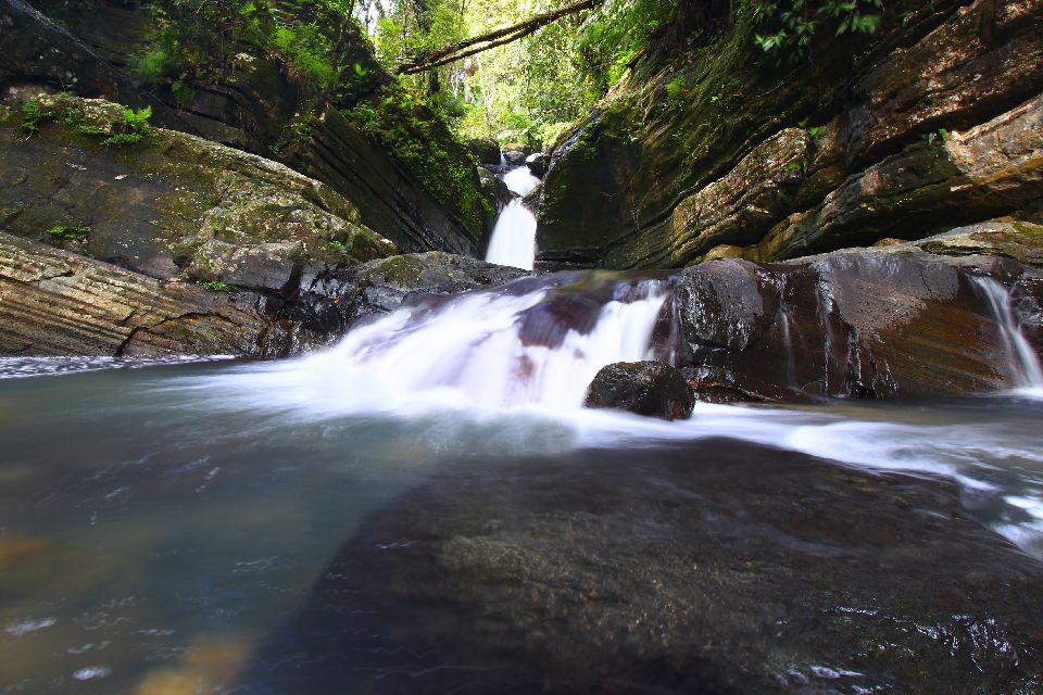 El bosque de El Yunque , Puerto Rico