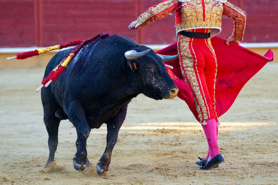 La Tourada Le nord et le centre du Portugal Portugal