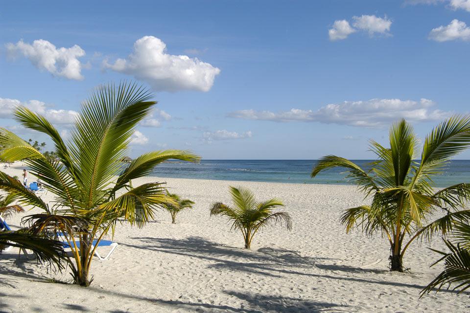 La costa dei Caraibi e delle palme da cocco. , Juan Dolio , Repubblica Dominicana