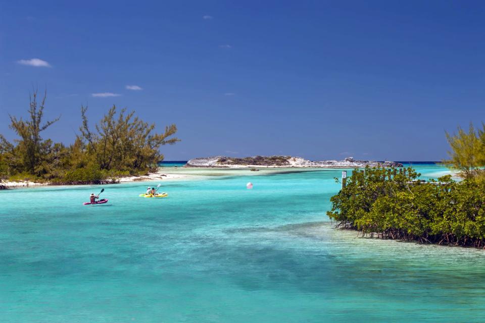 Isla del Gato , Bahamas