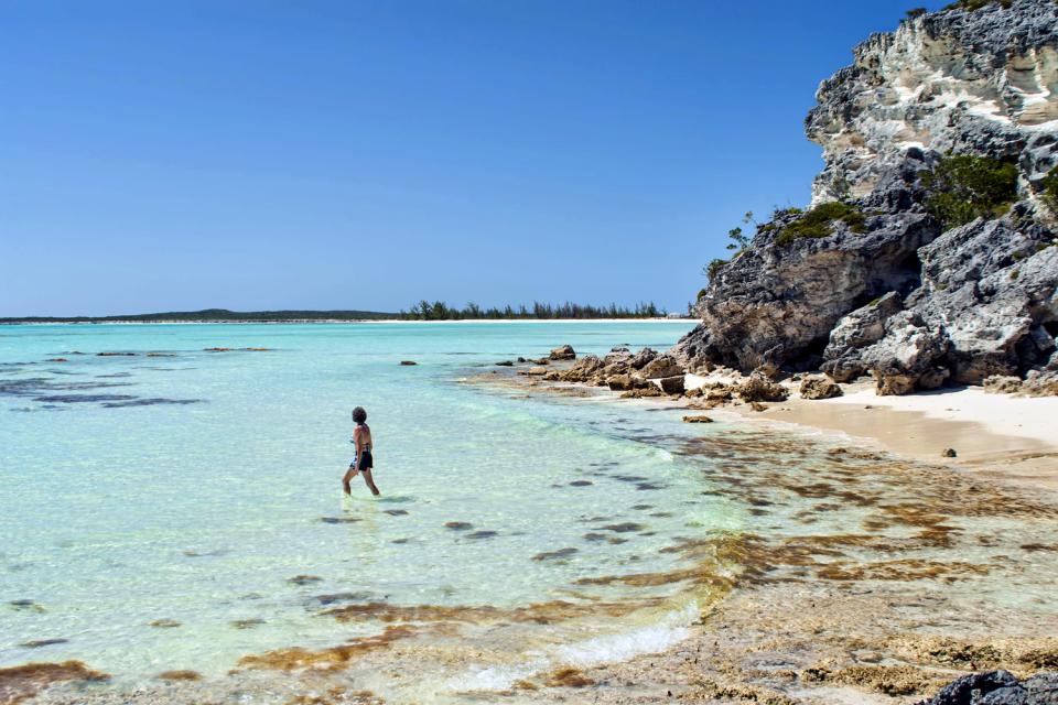 Isla del Gato , Bahamas
