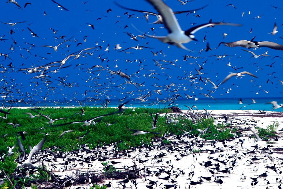 Eine riesige Voliere!, Die Insel Bird, Die Landschaften, Mahé, Seychellen