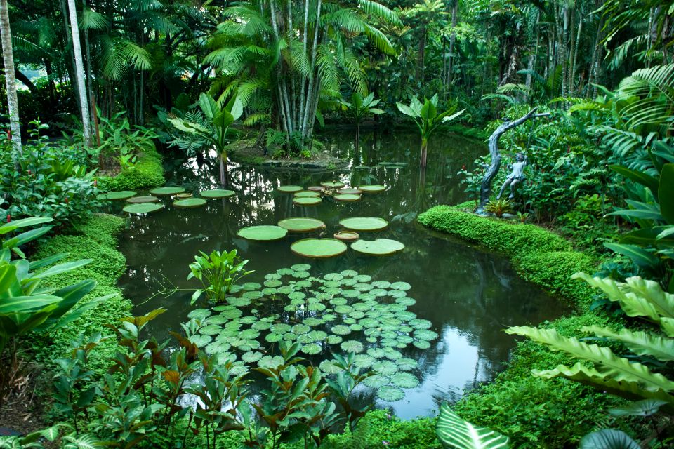 , Der botanische Garten, Die Naturparks und Gärten, Singapur