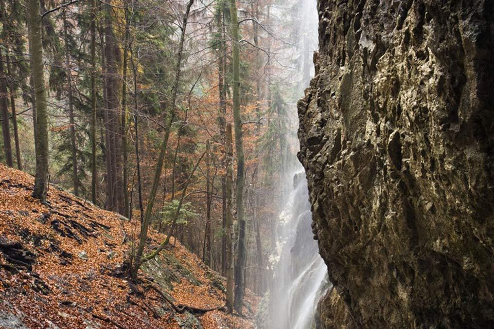 Der Nationalpark Im Slowakischen Paradies. - Slowakei