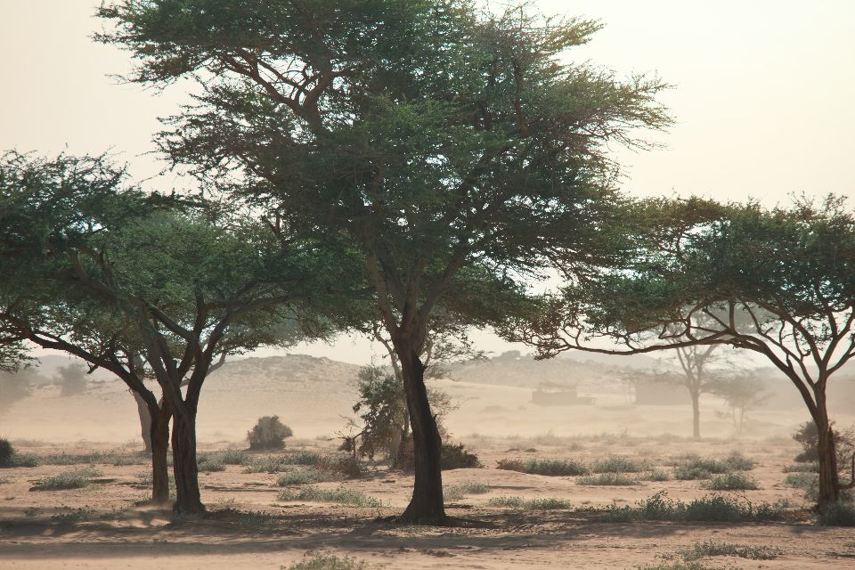 La région du Darfour , Soudan