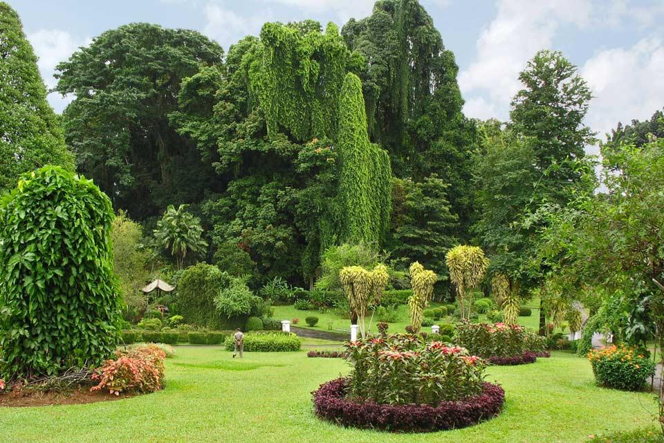 Los jardines botánicos y las plantaciones de especias , Sri Lanka